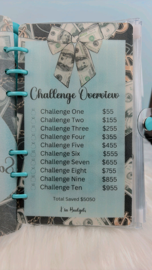 Blue Money Bag Savings Challenge Save $5050